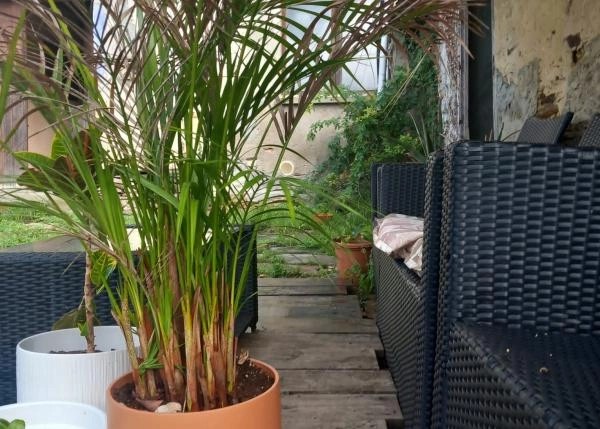 PHOTO-2023-08-28-12-38-37-4-64edb616e4e4b