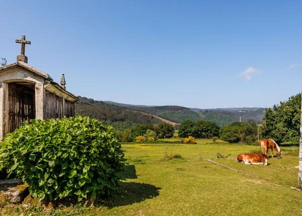 48-GCH-1111-Cerdriz-casas-piedra-blancas-caballos-64f87029742c8