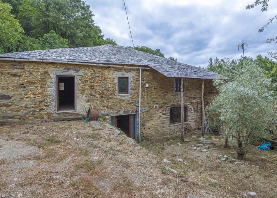 GCH-1187-Becerrea-2-64b18eaf57ebd