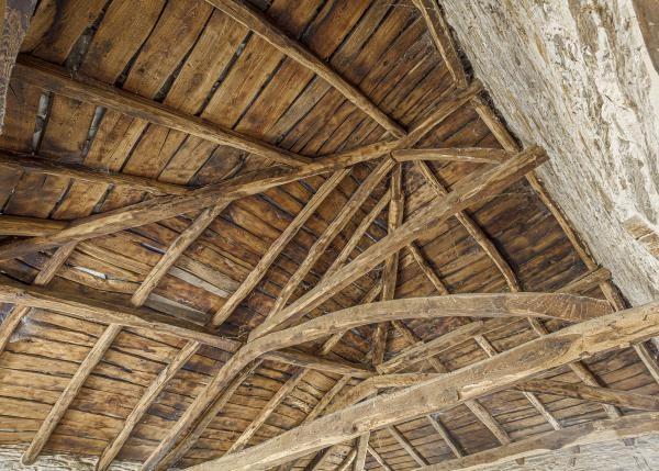 GCH-1187-Becerrea-25-64b18f460242b