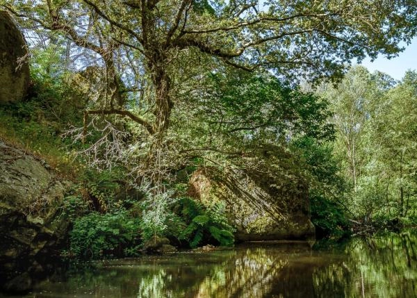 20  Zona de piscina natural