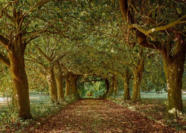 GCH-Pazo-de-la-Parda-17-64bfb2528daca-64e8868dcdeca