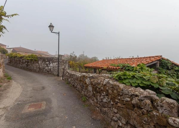 Ferreira-de-Panton-3-64b184fb81ec9