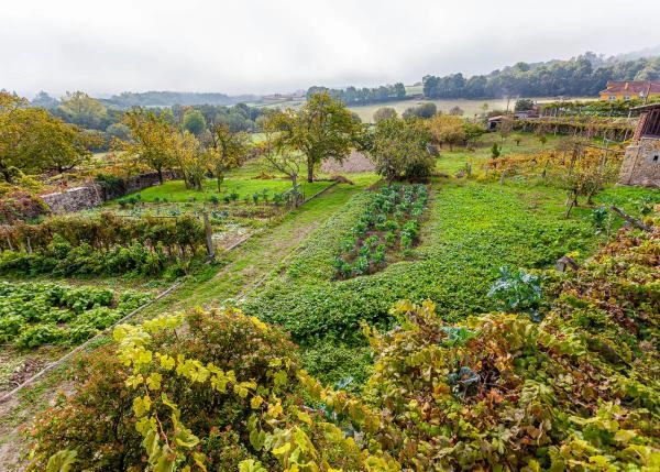 Ferreira-de-Panton-67-64b185fd6ee25