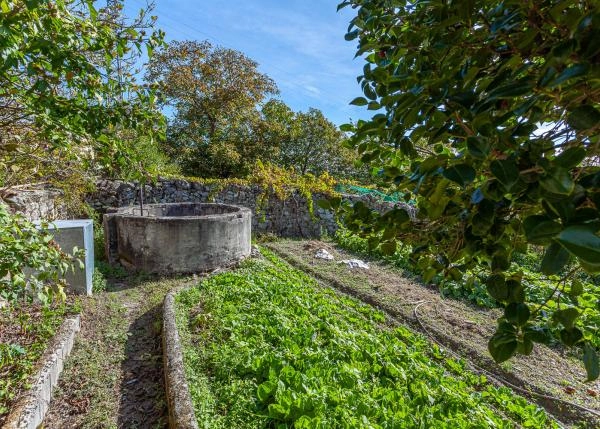 Ferreira-de-Panton-82-64b186411c2ee