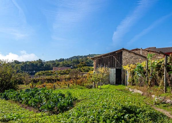 Ferreira-de-Panton-87-64b186576df43