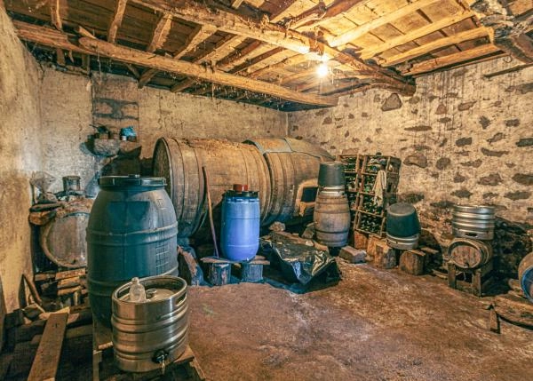 Ferreira-de-Panton-92-64b1866bd9f5c