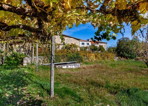 Ferreira-de-Panton-99-64b1868615a34