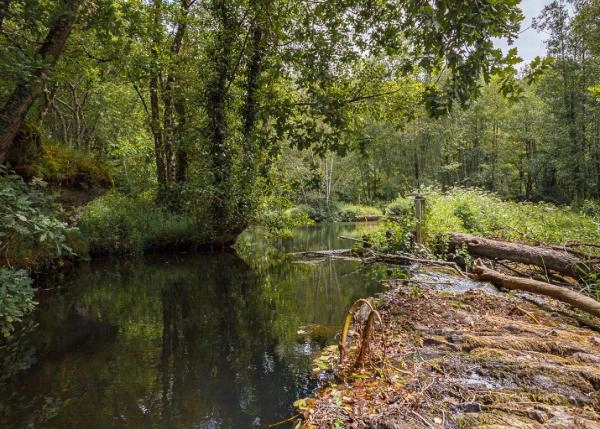 37 Presa para molino