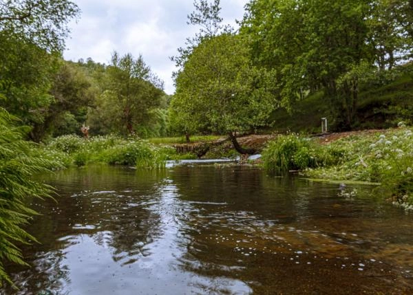 41 Presa para molino