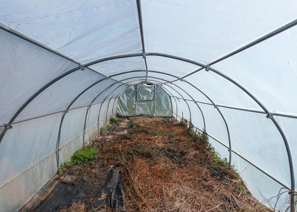 GCH-Susa-10-64b16f0913324