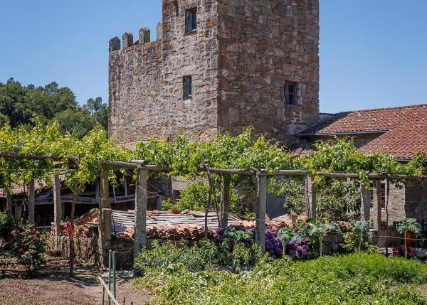 GCH-1257-Ext-3-vinedos