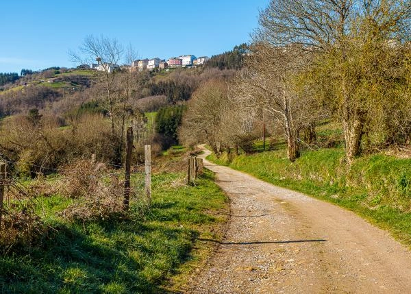 GCH-Fonsagrada-21-64b15ea6419f2