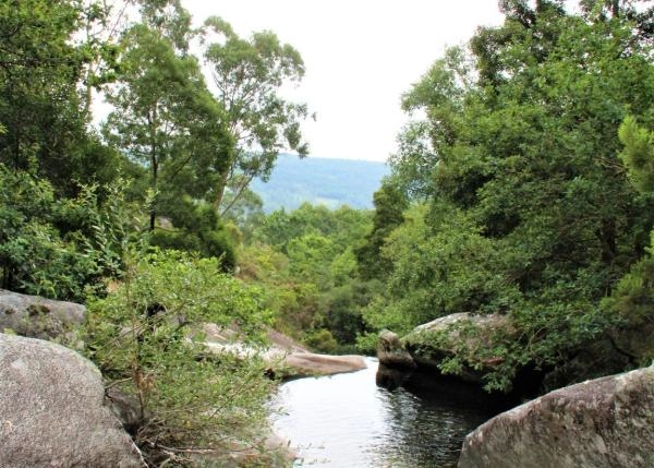 IMG-4940-64f097cd249fd