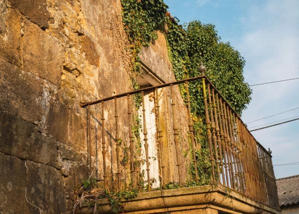 DSC9236-64b12118697cf-64e87717eb6f0