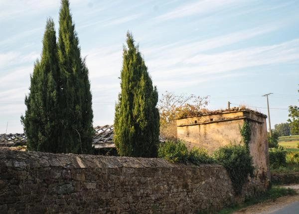 DSC9249-64b121816e91f-64e8771c62567