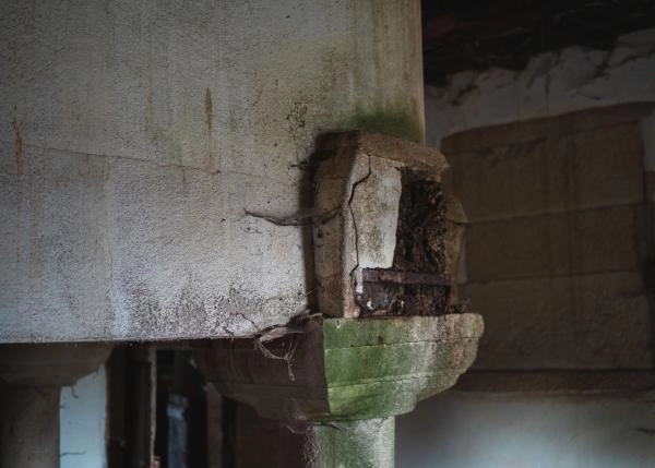 DSC9312-64b1238b3d37f-64e8775e20212