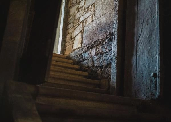 DSC9339-64b124366657d-64e8776851fc4