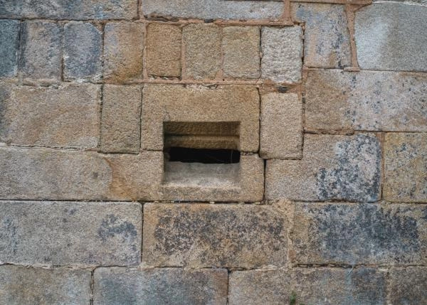 DSC9345-64b12498226bb-64e8776d81b98