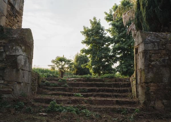 DSC9362-64b1253688c6c-64e87774a2042