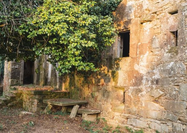 DSC9378-64b125fd3d89a-64e87744dba5d