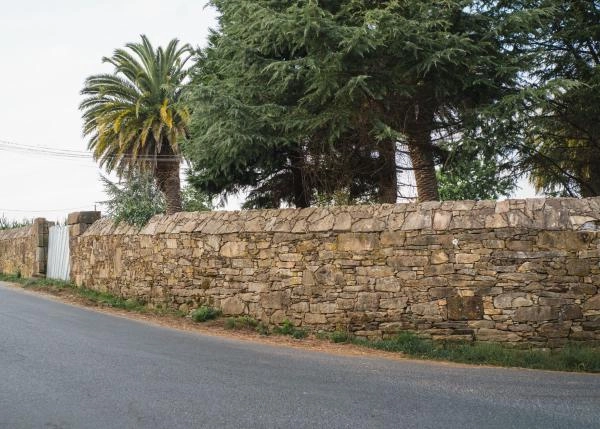 DSC9401-64b126a12abf0-64e8778829f55