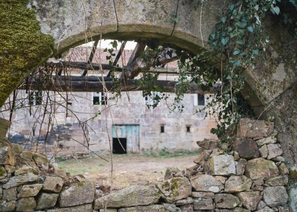 DSC9421-64b1279d3868b-64e87781d6b7e