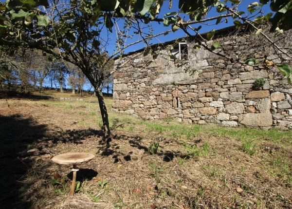 IMG-3483-parte detras de casa