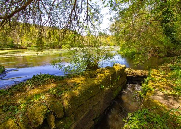 1406-cam-10-64b104219e128