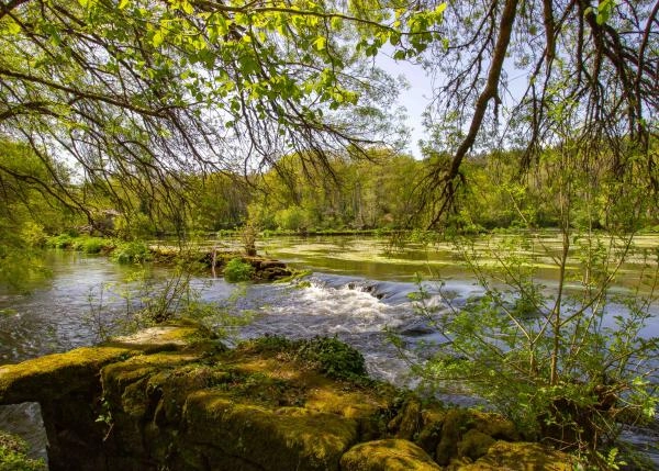 1406-cam-11-64b1042cac8d4