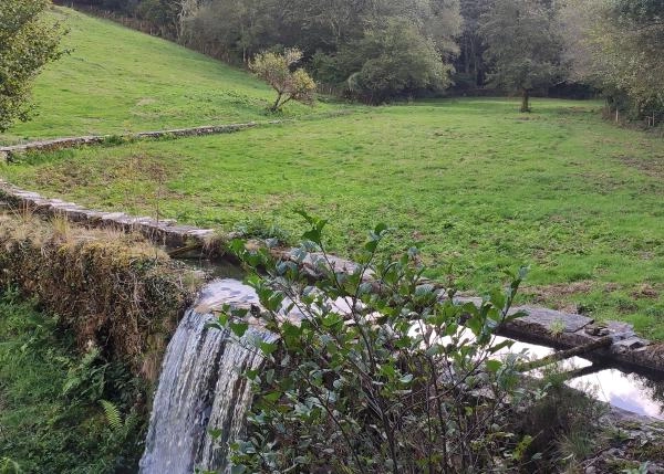 IMG-20211003-154814-canal