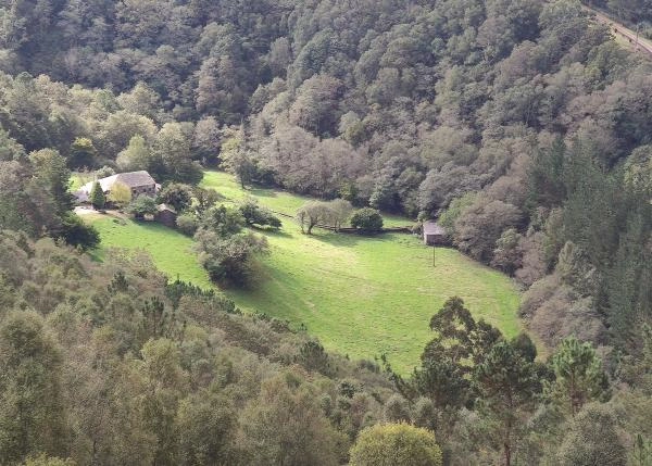 IMG-20211009-131631-vista-por-dron