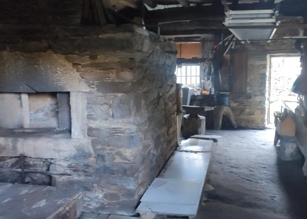 IMG-20211012-105237-bajo