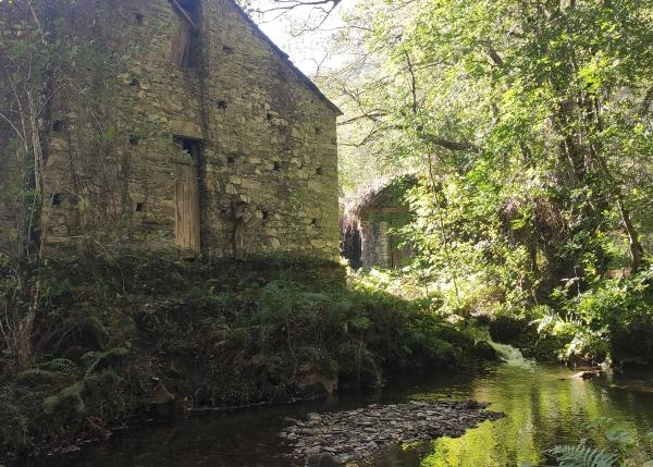 IMG-20211012-110602-aseradero