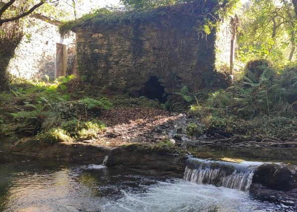 IMG-20211012-111628-molino