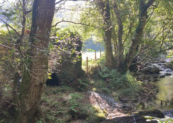 IMG-20211012-112327-rio