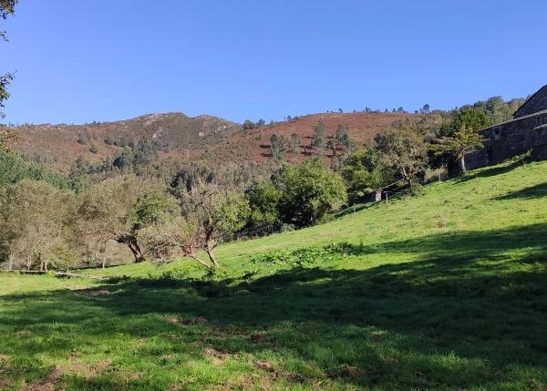 IMG-20211012-120748-vista-de-finca