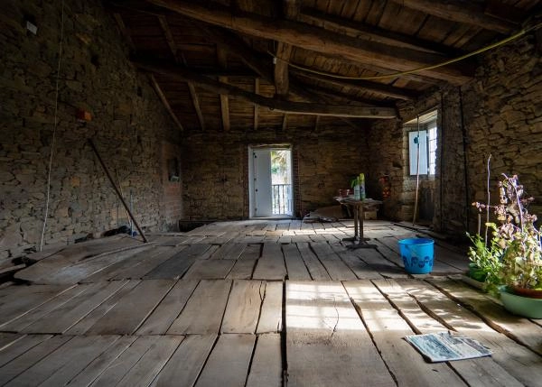 1450-37-64b0d0d575ee1