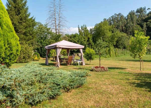 DSC0578-Editar-64c0f788e11e1-64e771ff801fa