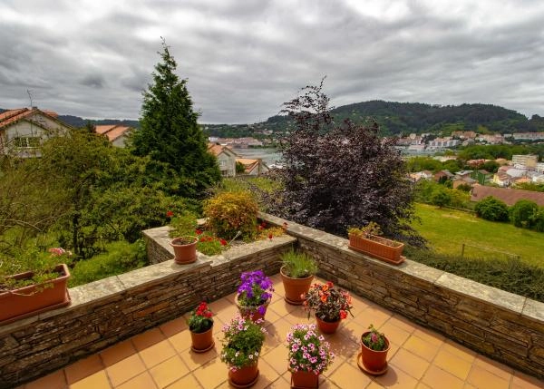 1477-ext-8-64af3febe7760