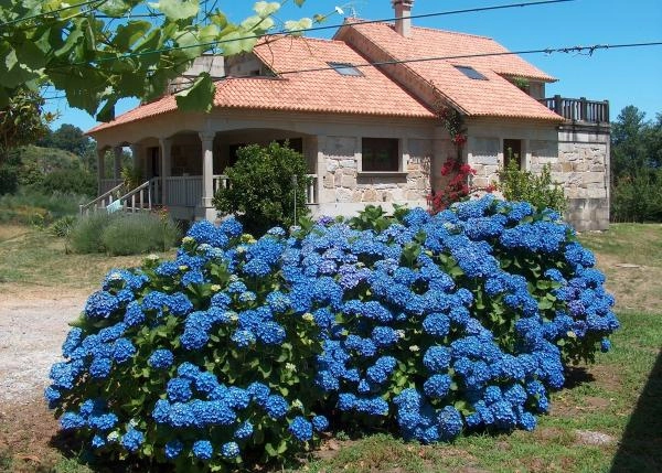 casa05-64ae68357ed0c-vista -ateral-de-propiedad