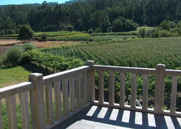 casa40-64ae68b1a61d9-cosechas