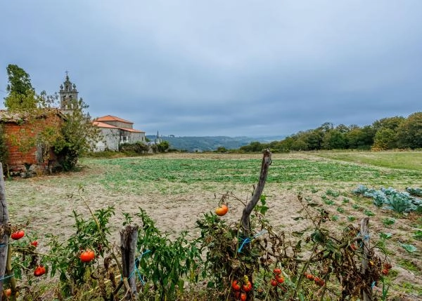 1600 Saa Belesar exterior campo