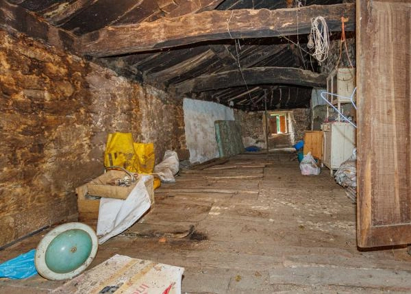 1609 interior cuadras animales