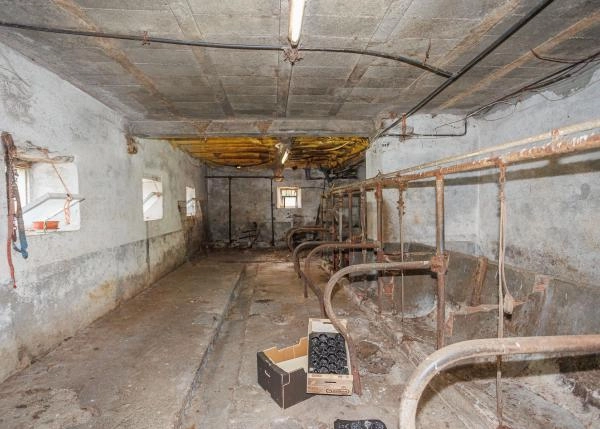 1622 A Pontenova exterior accomodacion vacas