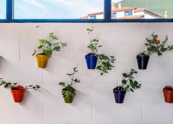 17-Casa-Alongos-restaurante-en-el-camino-primitivo-con-terraza-650abec0a1624