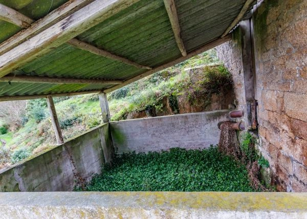 1645  Aranga fosa purin