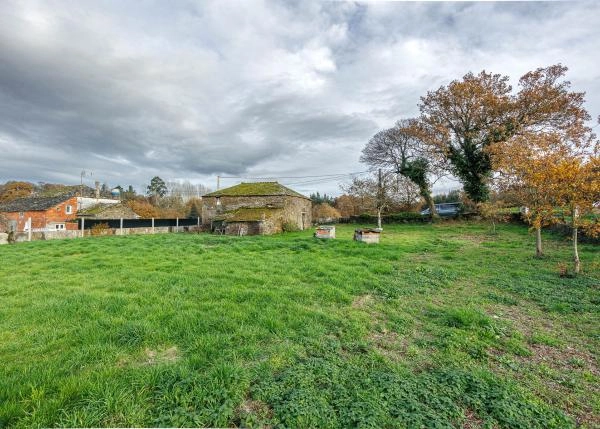 1651 5 Cela vista desde fondo jardin