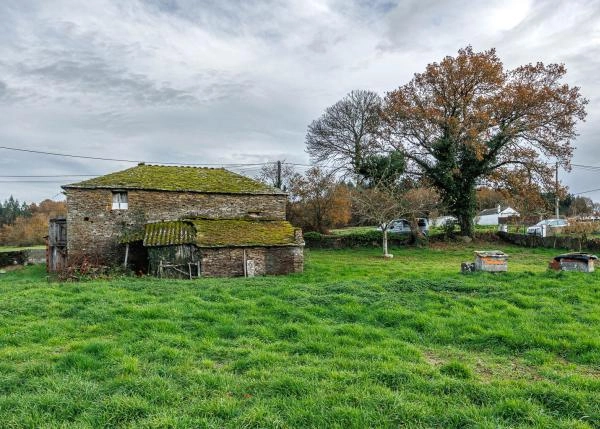 1651 2 Cela vista desde fuera casa
