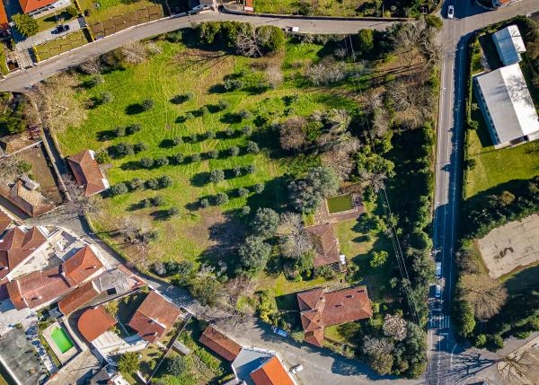 1658 Viana do Castelo Exteriores a vista de pajaro
